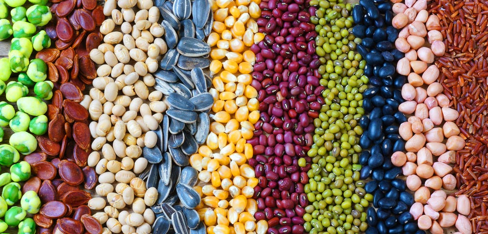 Picture of colorful seeds