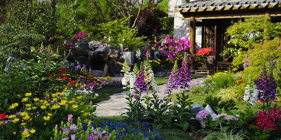 Landscaping with flowers shows several different varieties of colored flowers along a walkway.