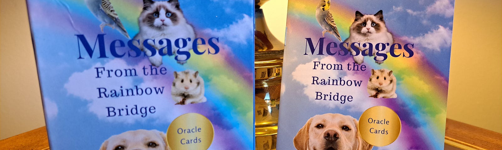 A box of oracle cards leans against a lamp on an end table with the guide booklet to its right. The oracle card box and booklet shows a blue sky with white cloud and a rainbow with pictures of a bird, cat, hamster, dog and rabbit. The words are: Messages From the Rainbow Bridge. Oracle Cards.