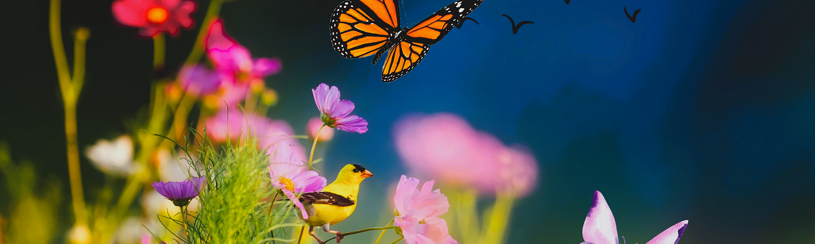 Flowers with butterflies and birds