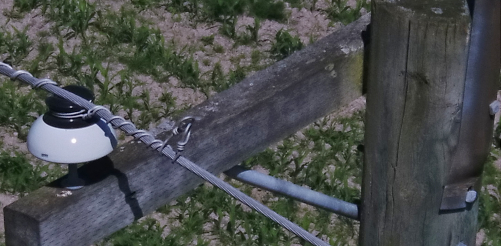 An insulator on a distribution pole