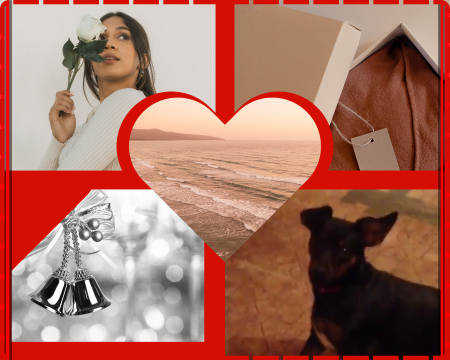 Top left: a person holding a white rose in front of a white wall
 Top right: a brown sweater in a box with a tag on it
 Middle is a heart outline with an aerial view of the ocean at sunset
 Bottom left: a black and white photo of two Christmas bells
 Bottom right: A black dog sitting on the floor with a happy face