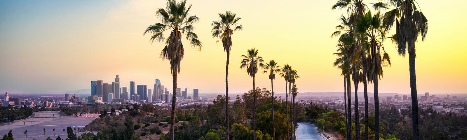 A view of the Los Angeles skyline in the background includes rows of palm trees in the foreground.