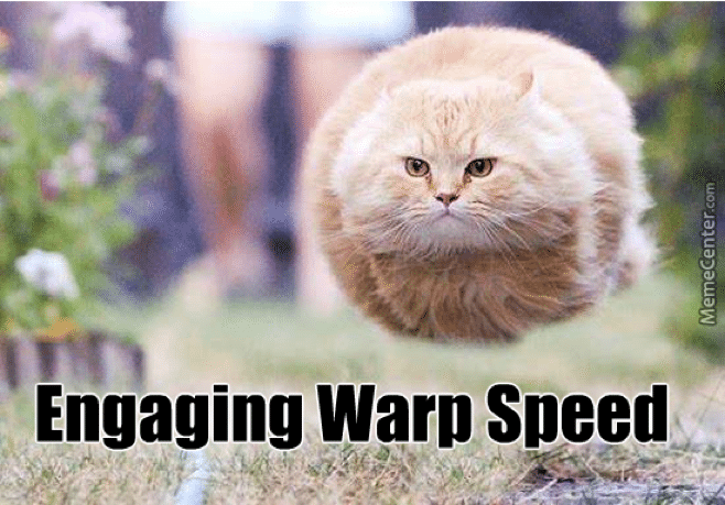 A meme of a cat with the tagline ‘engaging warp speed’