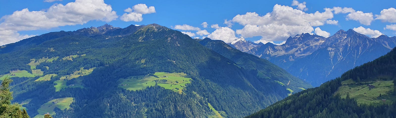 Person standing on a grassy field int he Alps with a view of mountain ranges behind