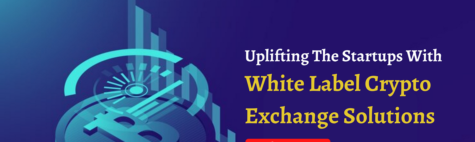 White Label Crypto Exchange