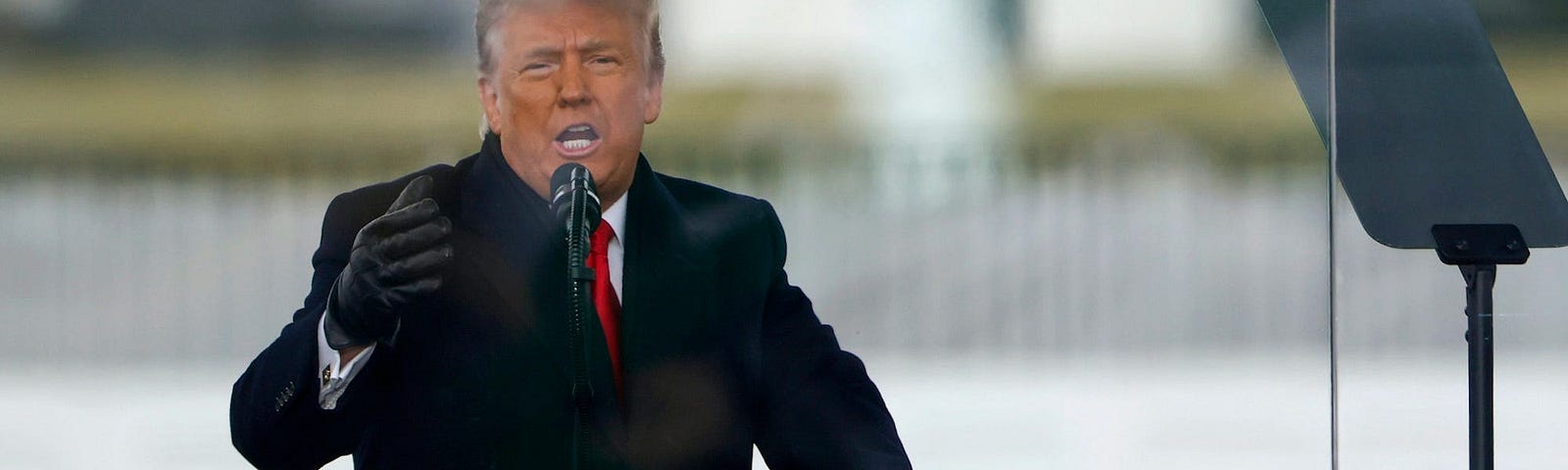 Former President Donald Trump speaks at the “Stop The Steal” Rally on January 06, 2021 in Washington, DC.