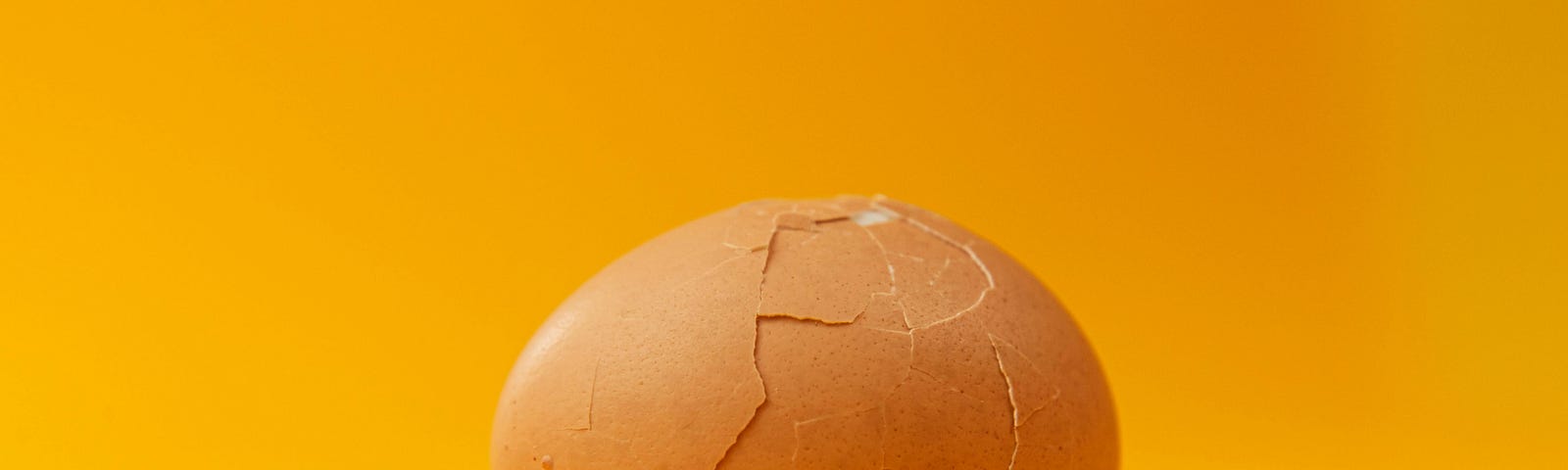 a cracked brown egg against a yellow background