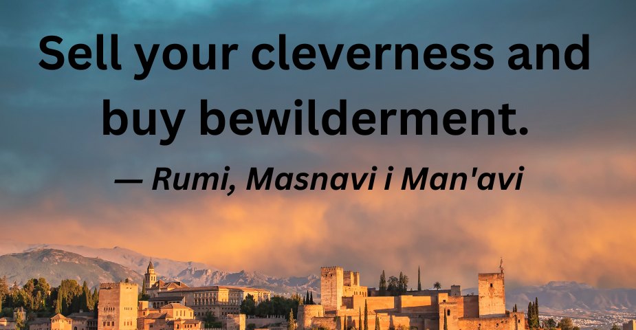 Sell your cleverness and buy bewilderment. — Rumi