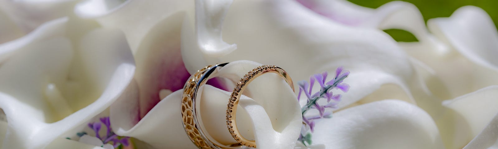 Photo of wedding rings among flowers.