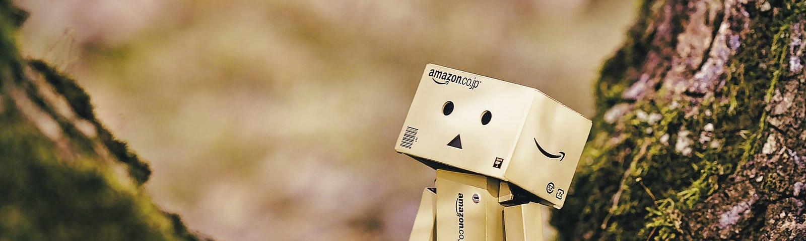 IMAGE: A robot made with Amazon cardboard boxes, on a tree