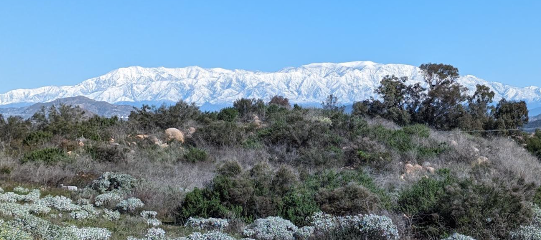 Image of snowy mountain in the background and chaparral in the foreground