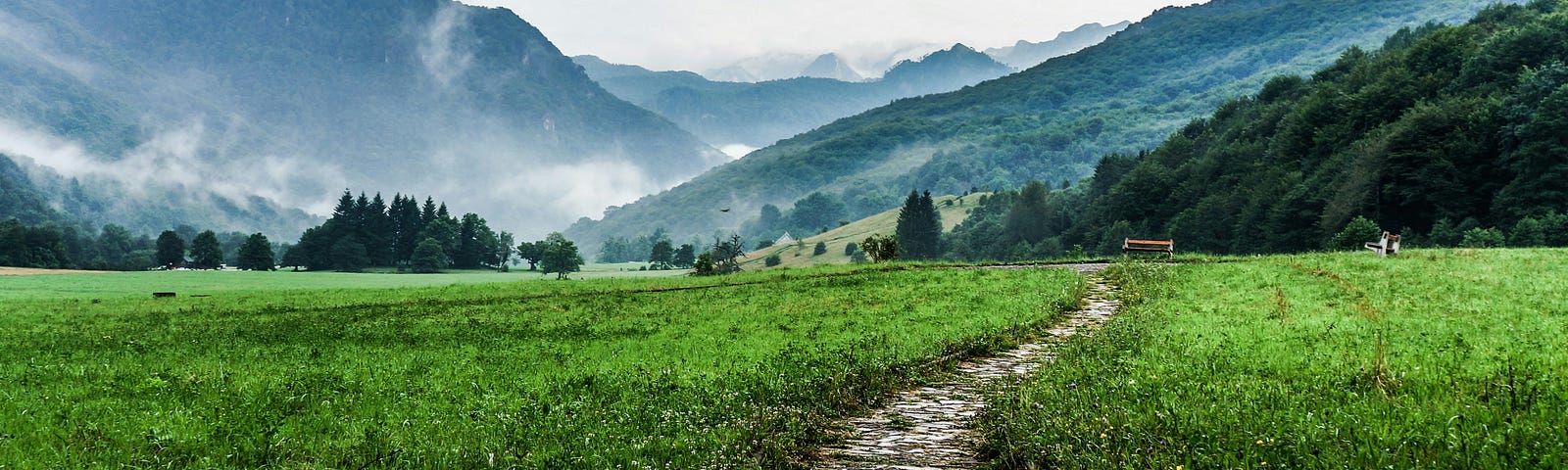 A stone trail, leading through lush grass land with mountains on the horizon.