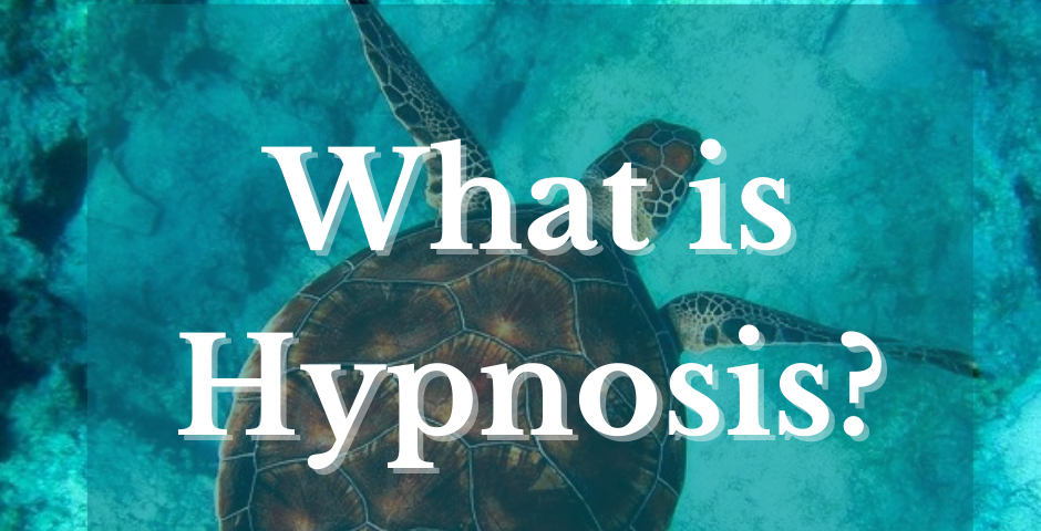 The words “What is Hypnosis?” appear over an image of a sea turtle. By Harlow Journey.