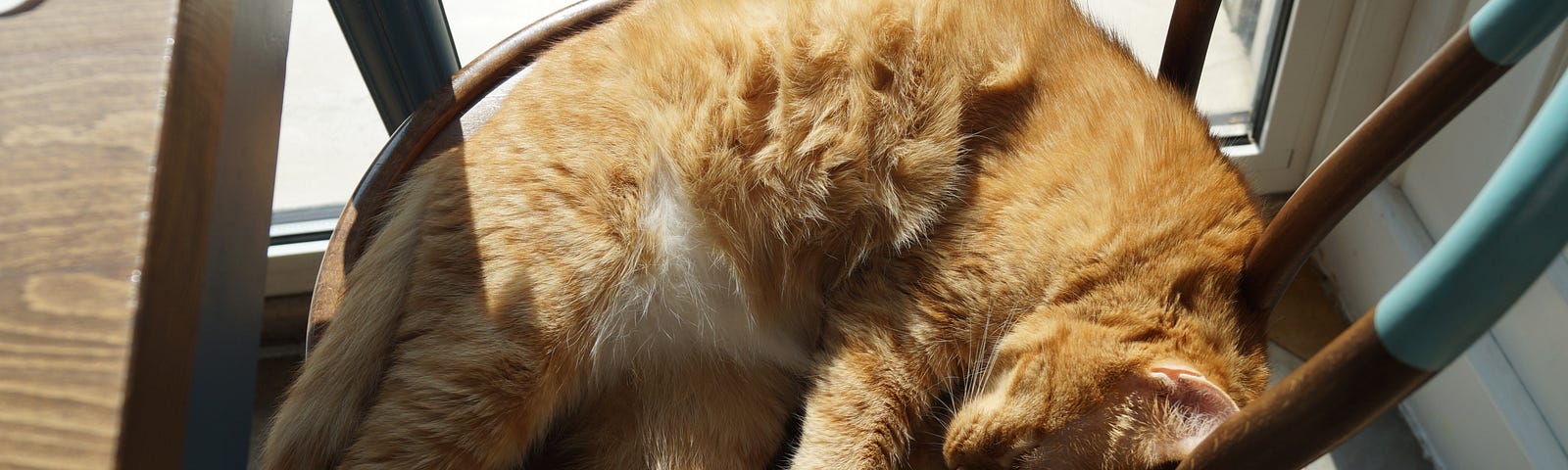 An orange cat sleeping on a chair under the sunlight.