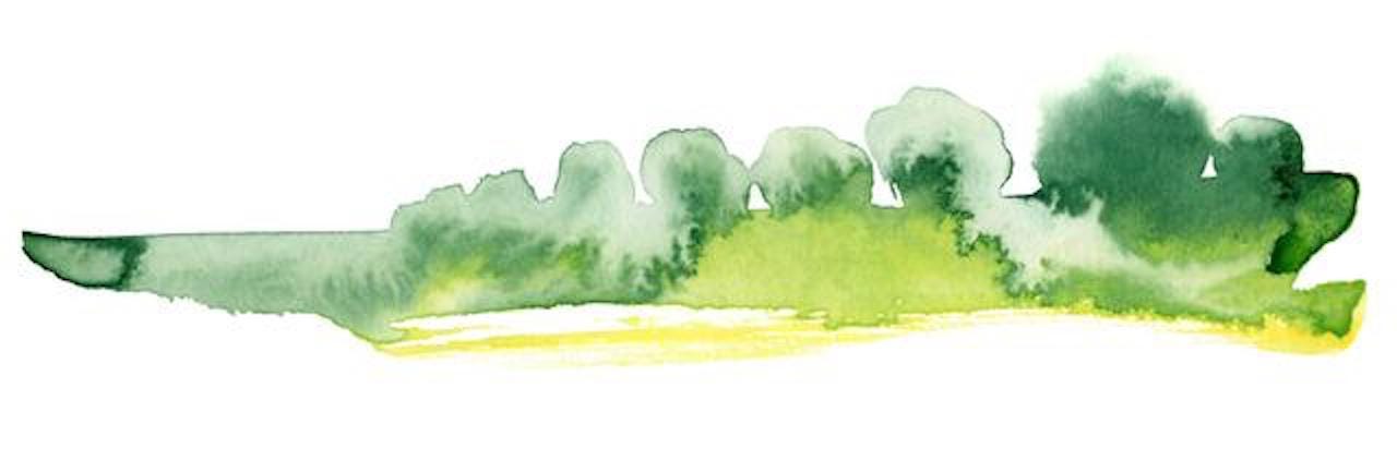 green watercolor painting in shape of trees, forest.