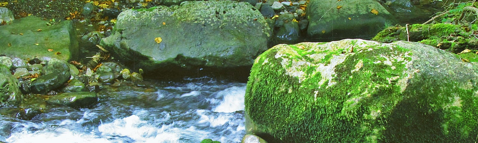 Georgia Creek (Source: Joni Jiniani on Unsplash)