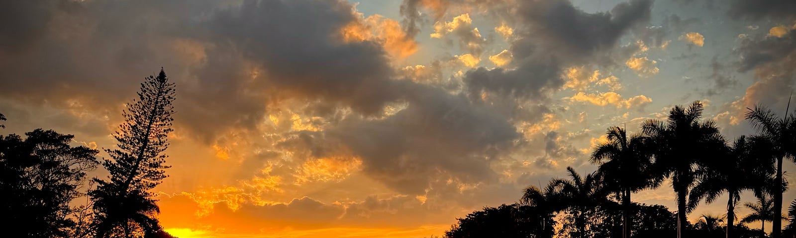 Photo taken by author’s friend that inspired this story of a sunset over a canal in Miami