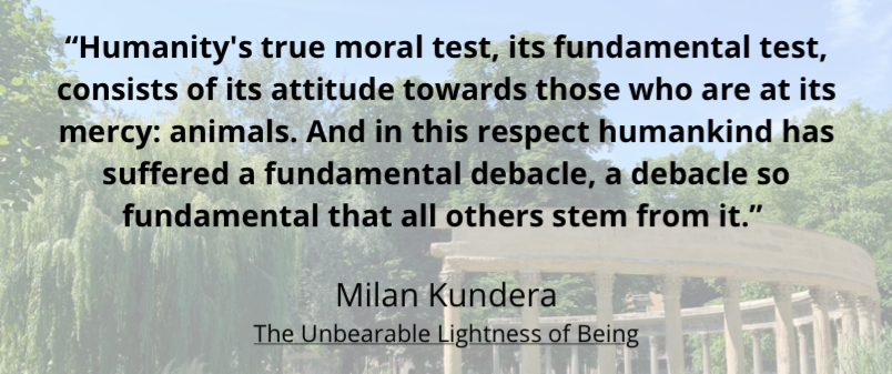 Picture of the park Monceau taken by Enola Boyer and quote by Milan Kundera about our relationship with animals.