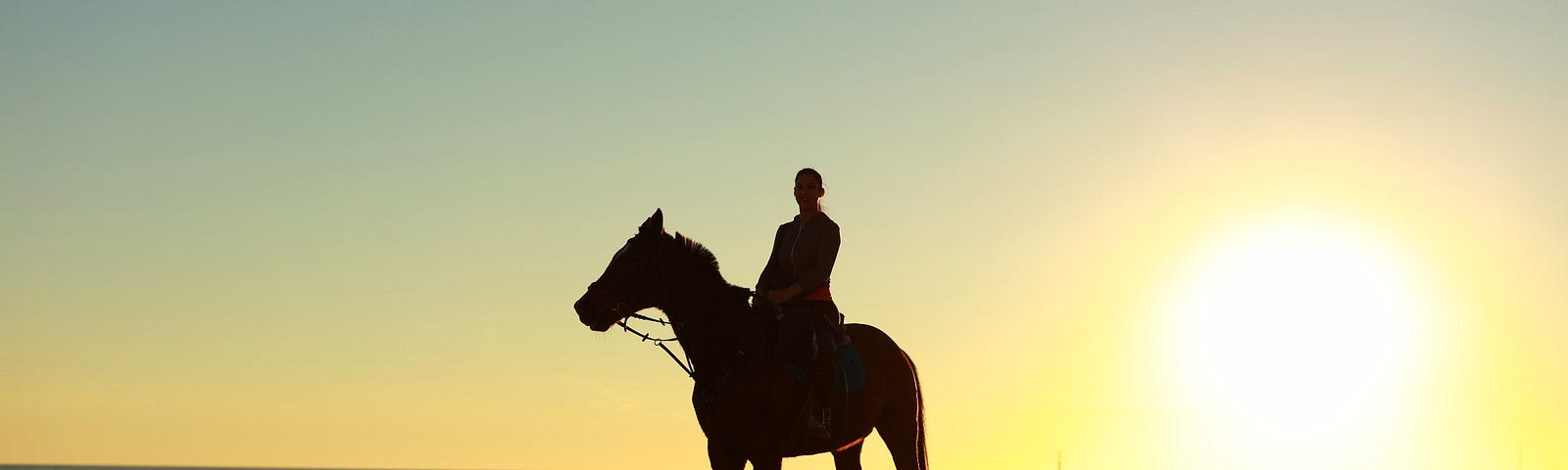 A person on a horse at sunset.