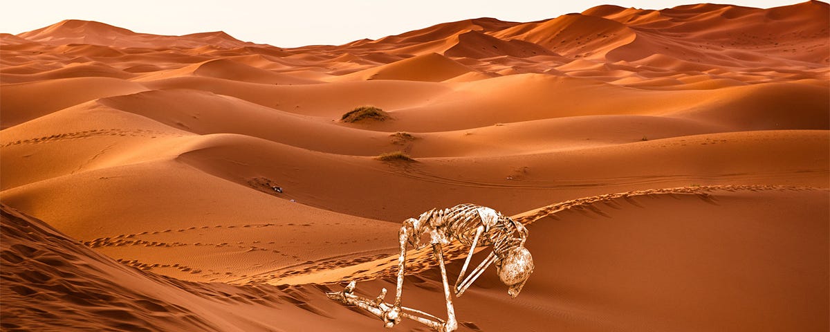 human skeleton crawling through the desert