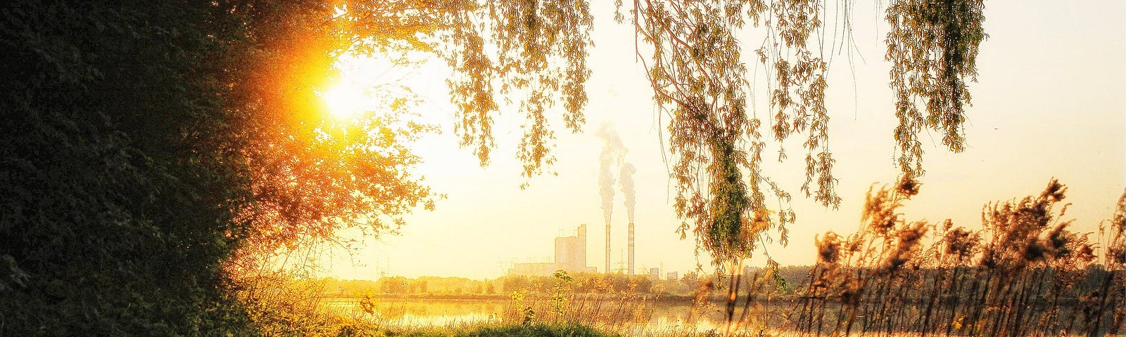 A curved country road along a river, with buildings/smokestacks in the background. Bright sun at left, behind trees. Grass and plants at right.