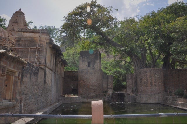 Ruins of Bhangarh Fort near banyan trees at the banks of a dying oasis | Photo by Nicola Sousa