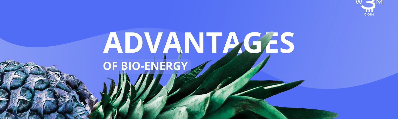 Advantages of Bio-energy