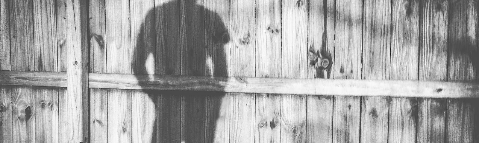 a black and white picture of a person standing in front of a fence- you can only see their shadow