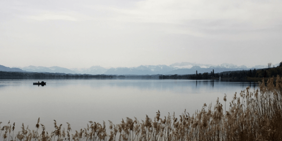 Brown reeds in front of smooth lake — Moral Letters to Lucilius