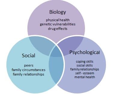 “Biopsychosocial model” By MrAnnoying — Own work, CC BY-SA 4.0, https://commons.wikimedia.org/w/index.php?curid=52520224