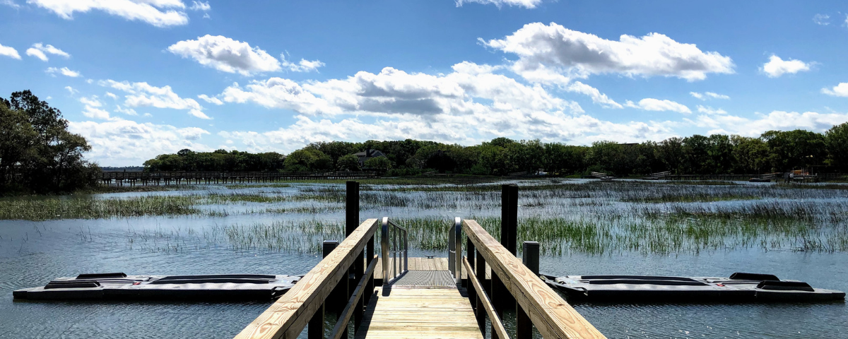 Marsh on James Island