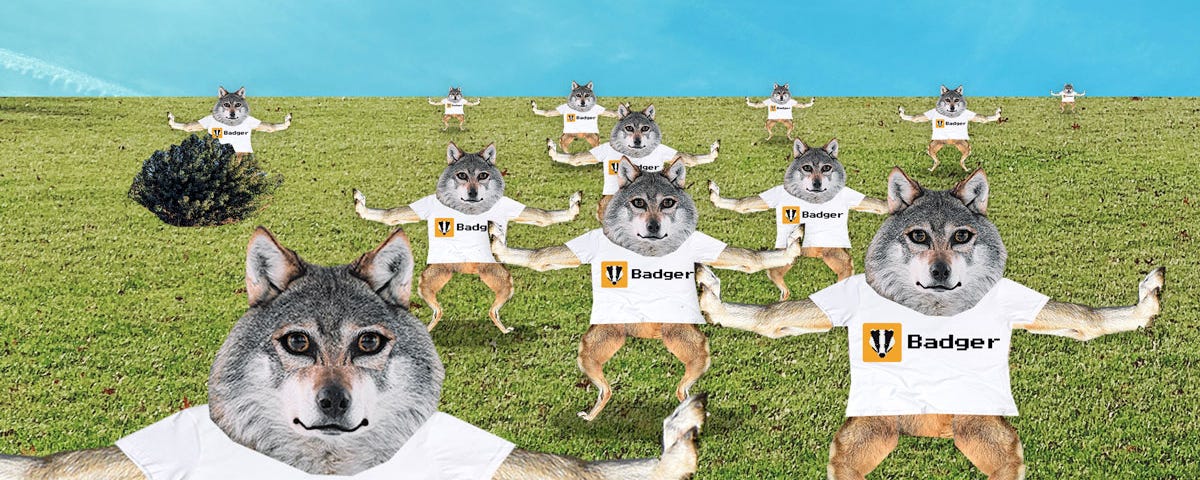 A Photoshopped version of the old Badger dance / mushroom song meme, with wolves wearing badger shirts replacing the original badgers. They’re dancing in a field with a bright blue sky in the background.