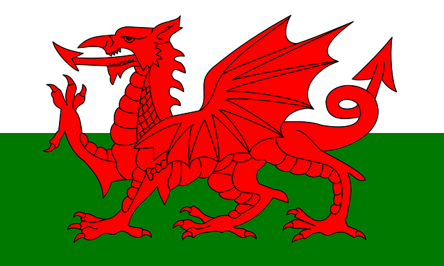 Welsh flag with the Welsh Dragon/Y DDraig Goch