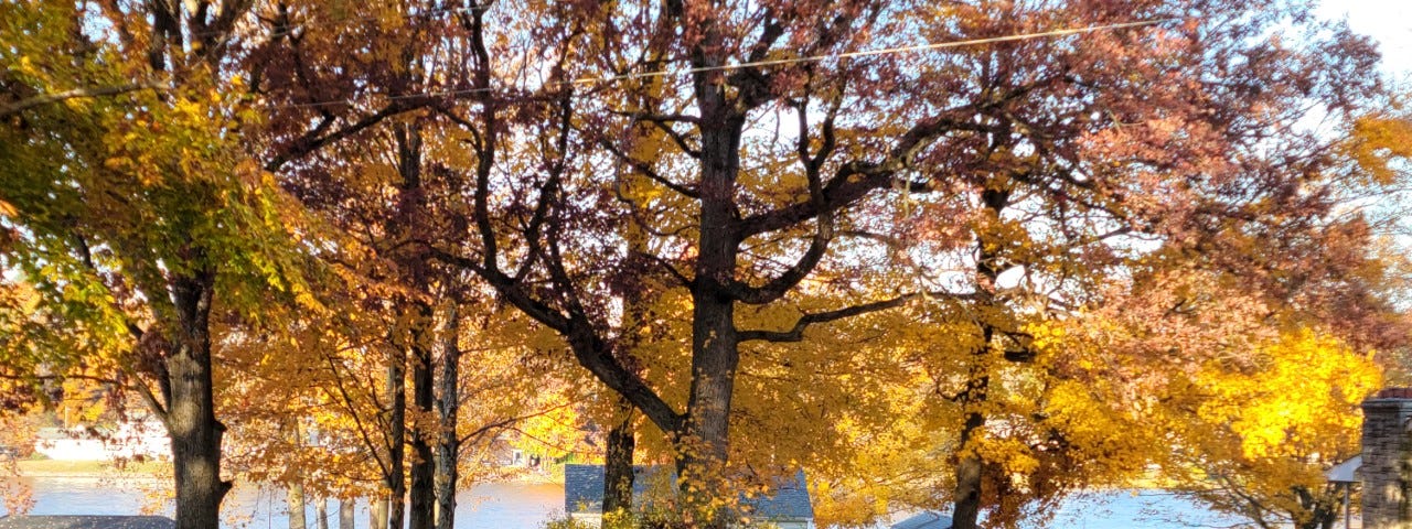 View of the lake through autumn trees, at the bend of a country road.