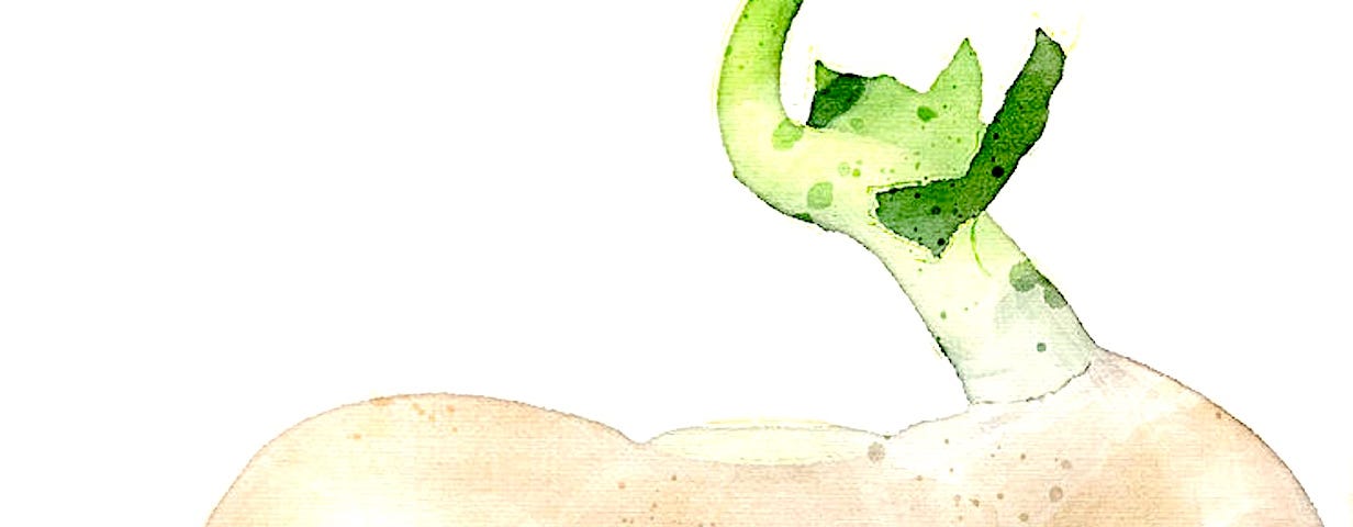 Watercolor sprouting seed