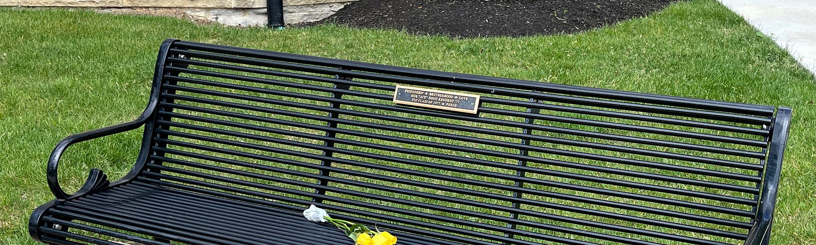 Yellow roses left on a college bench dedicated to my spouse.