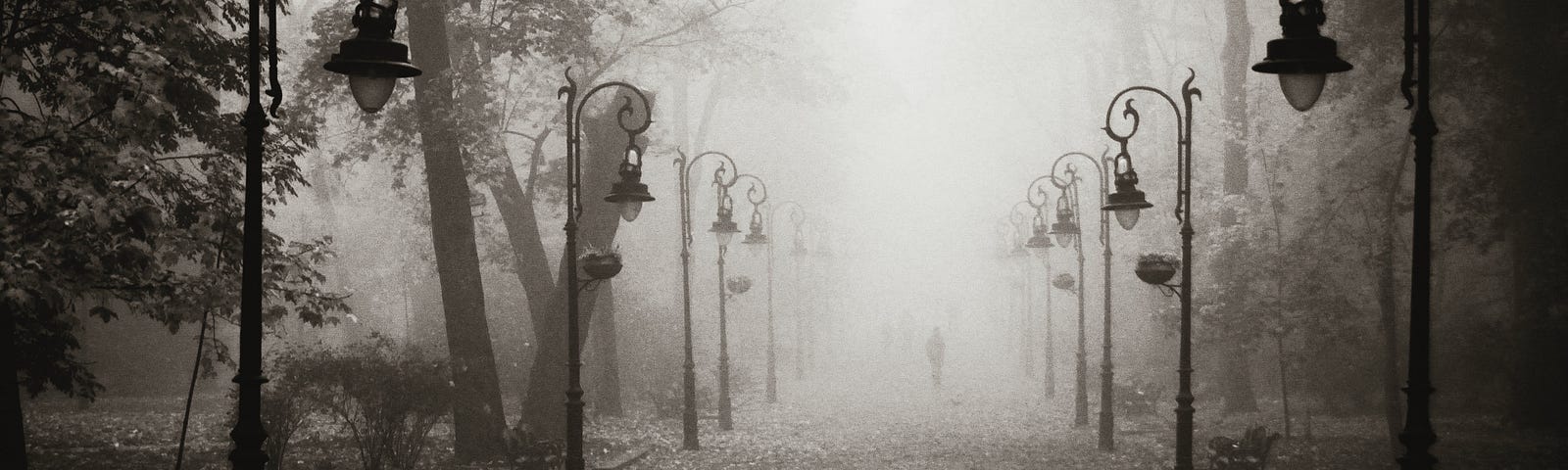 A foggy path obscures a man’s destination