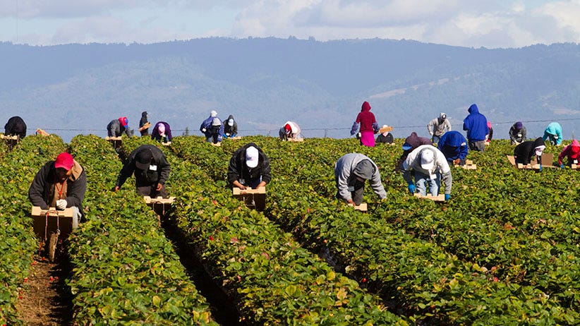 Agricultural Workers