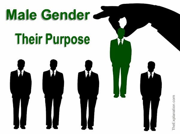 The Male Gender is often decried today. Here’s what it represents from a Godly perspective.