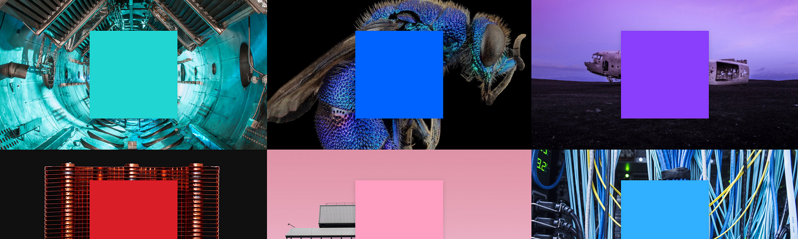 Color swatches overlaying photography.