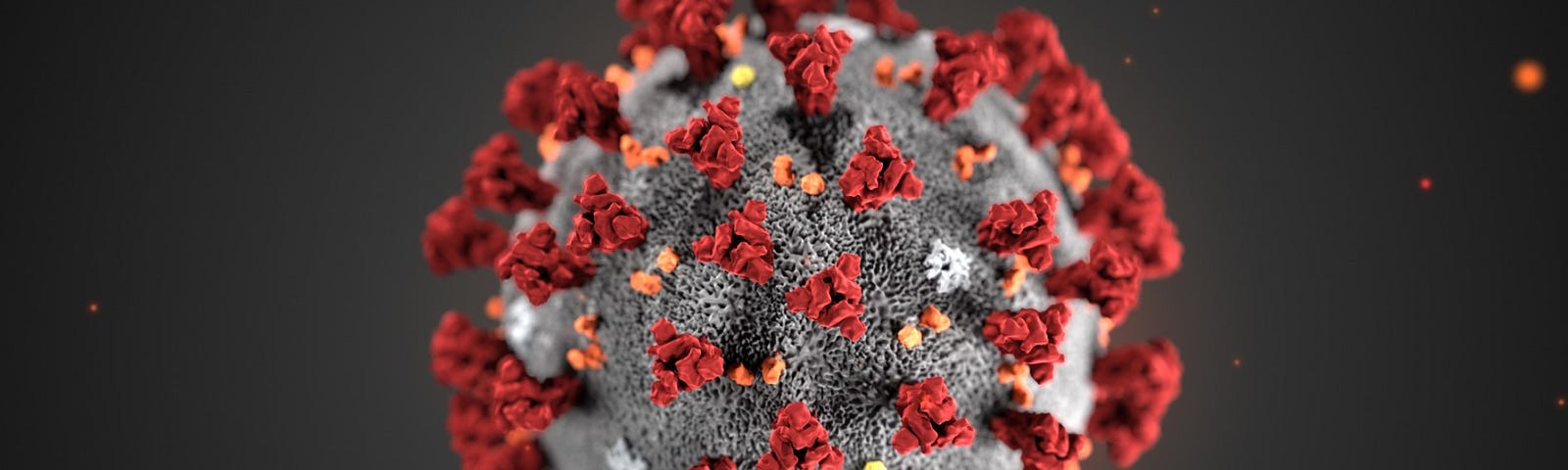 An image of the 2019 Novel Coronavirus or COVID-19