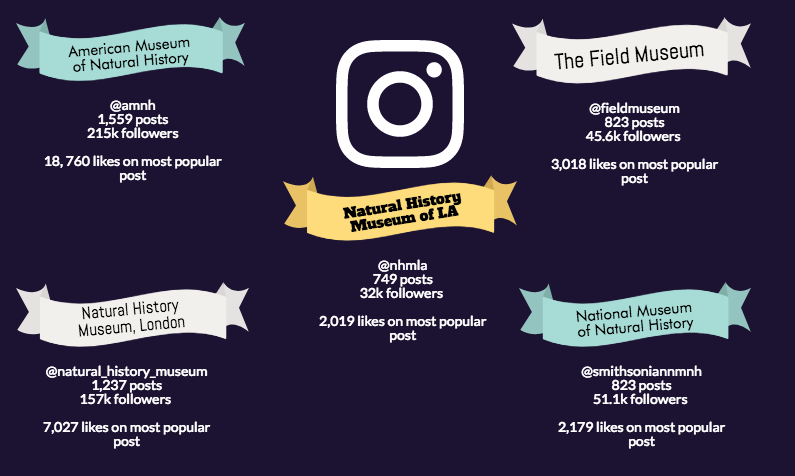 not being photogenic in the age of instagram natural history museums read more - most followed museums on instagram