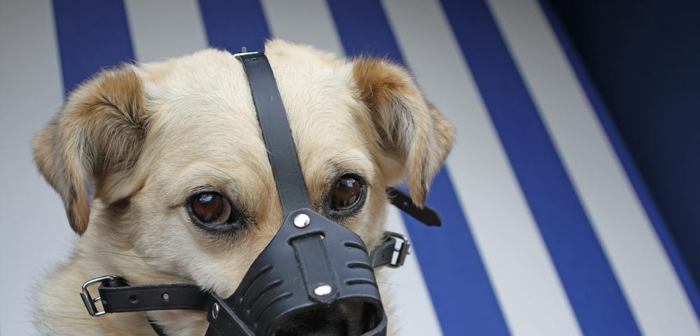 using a muzzle