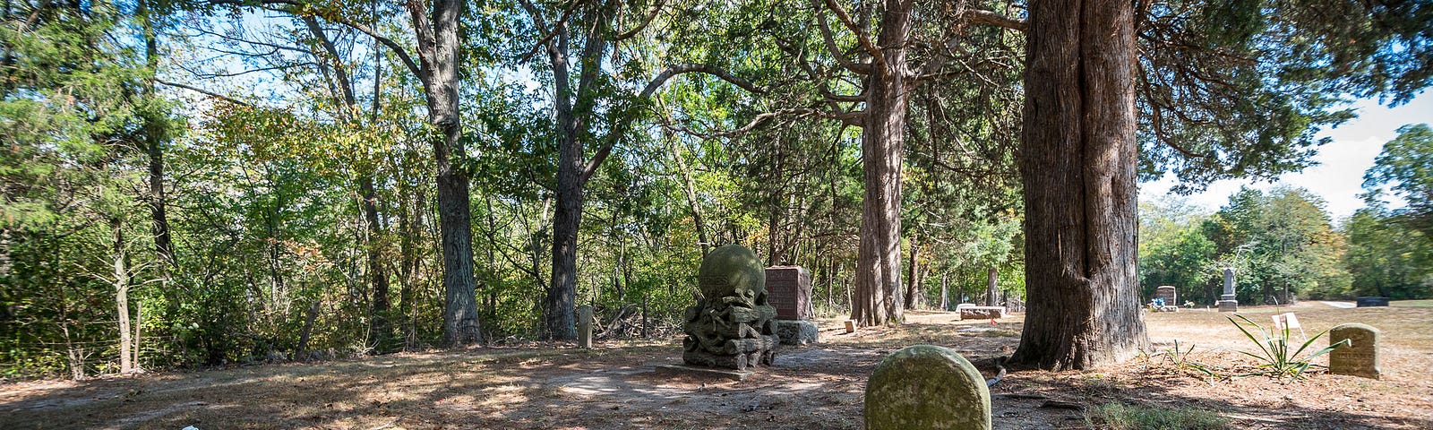 A cemetery with old gravestones and a pine tree.