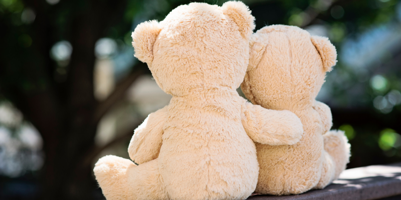 Two teddy bears hugging — 12 Types of Hugs You Learn In Life