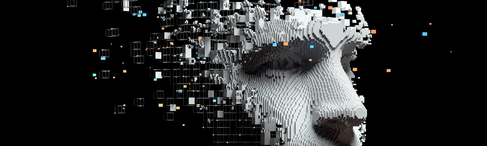 Digital image of a face and partial construction of brain using digital cubes.
