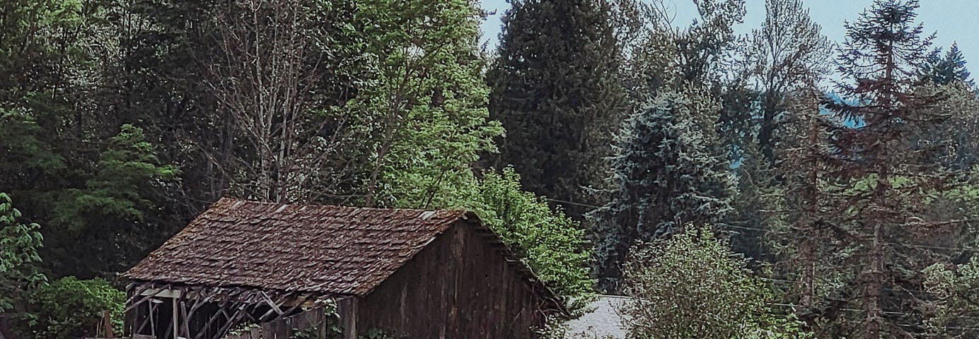 A picture containing outdoor, tree, plant, abandoned building