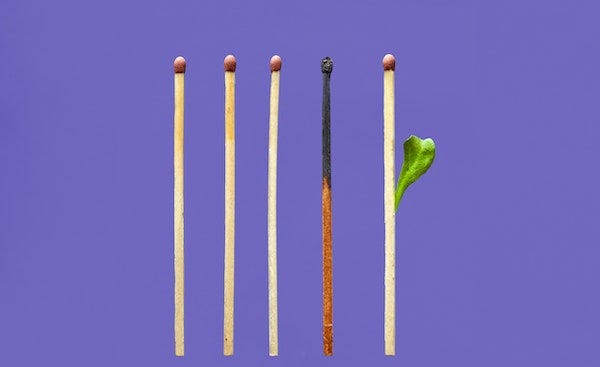 five matchsticks agains a purple background; the fourth is burned and the fifth is sprouting a green leaf