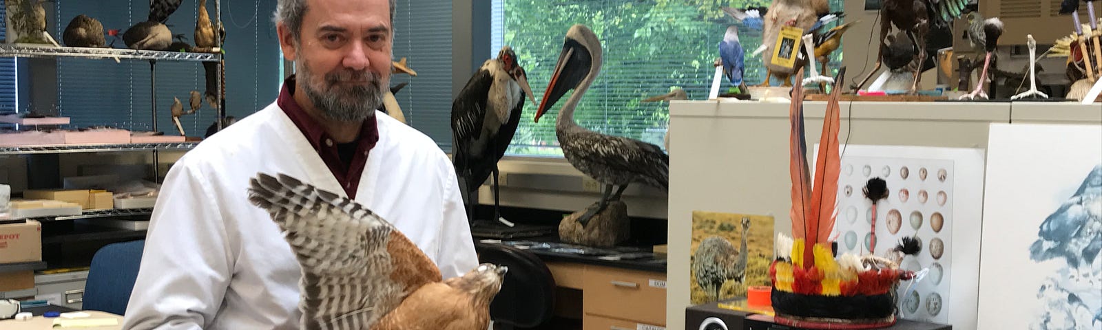 Dr. Pepper Trail, Senior Forensic Scientist and Ornithologist holding a hawk in the lab, full of birds and feathers.